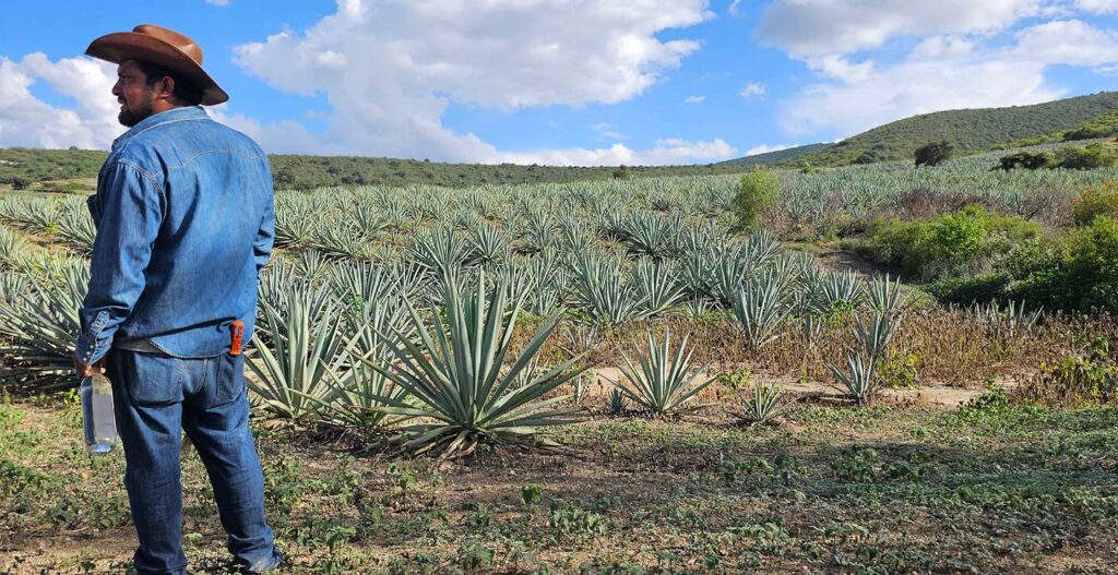 Ernesto the producer of Mezcal